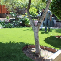 Artificial Grass Casa Conejo, California City Landscape, Backyard Designs