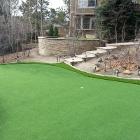Artificial Grass Pismo Beach, California Landscape Ideas, Backyard Ideas