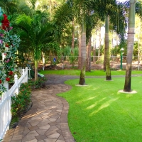 Fake Grass Carpet Montecito, California Landscape Ideas, Backyard Design