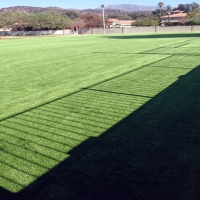 Fake Grass Covina, California Landscape Design