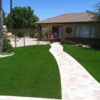 Grass Carpet Sherman Oaks, California Backyard Playground, Front Yard