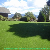 Grass Installation Camarillo, California Artificial Turf For Dogs, Backyard Landscape Ideas