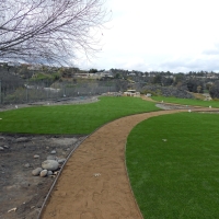 Grass Turf Casmalia, California Lawn And Landscape