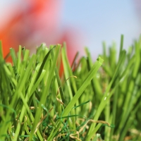 Spring artificial grass 50 oz. green emerald lime Spring artificial grass 50 oz. green emerald lime