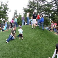 Synthetic Grass Romoland, California Landscaping, Parks
