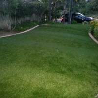 Synthetic Grass West Hollywood, California Lawn And Garden, Front Yard Landscape Ideas