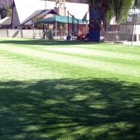 Synthetic Lawn Buellton, California Landscape Design, Parks