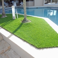 Synthetic Lawn Marina del Rey, California Design Ideas, Backyards