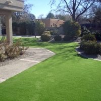 Synthetic Turf Frazier Park, California Landscape Photos, Front Yard Ideas