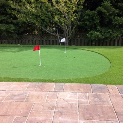 Artificial Grass Carpet Inglewood, California Lawns, Backyard Designs