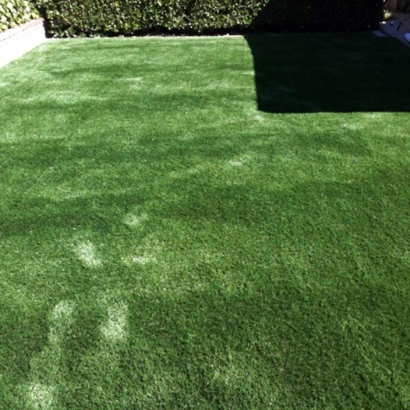 Artificial Grass Carpet Monterey Park, California Landscaping Business, Backyard Landscaping