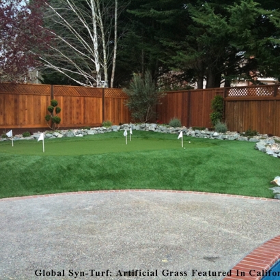 Artificial Grass Carpet Moorpark, California Backyard Putting Green, Backyard Landscaping