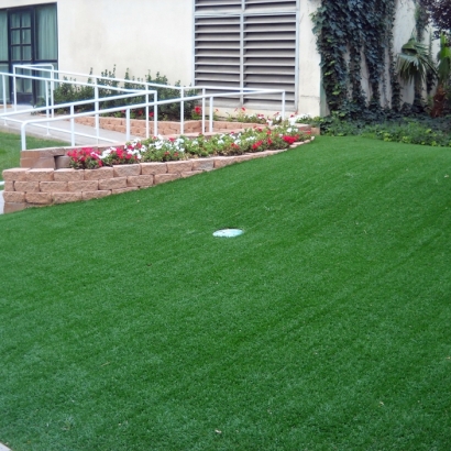 Artificial Grass Carpet Sisquoc, California Artificial Putting Greens, Front Yard Landscaping