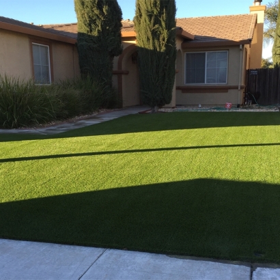 Artificial Grass Channel Islands Beach, California City Landscape, Front Yard Landscape Ideas