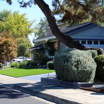 Artificial Lawn Calabasas, California Landscaping, Small Front Yard Landscaping