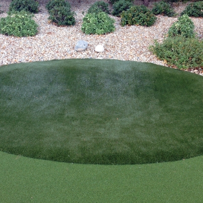Artificial Turf Belvedere, California Putting Green Carpet