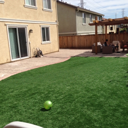 Best Artificial Grass Ladera Heights, California Upper Playground, Backyard Landscape Ideas