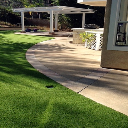 Best Artificial Grass Mayflower Village, California Grass For Dogs, Front Yard Design