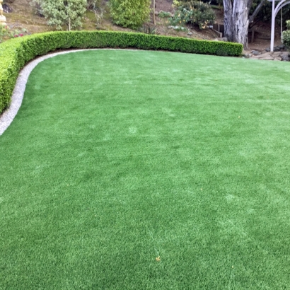 Best Artificial Grass Meiners Oaks, California Landscape Ideas, Backyard Ideas