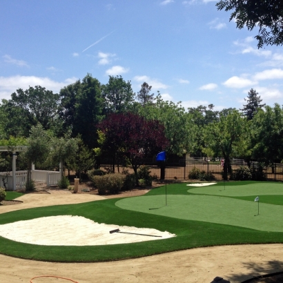 Best Artificial Grass Montclair, California Lawn And Landscape, Front Yard
