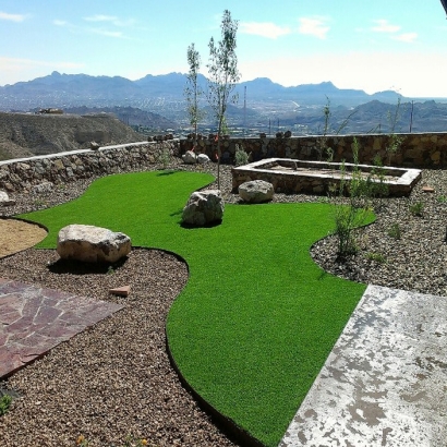 Fake Grass Carpet Fontana, California Garden Ideas, Backyard Design