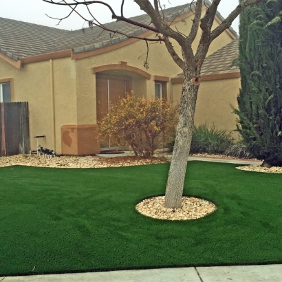 Fake Grass Carpet Ojai, California Landscape Photos, Front Yard Ideas