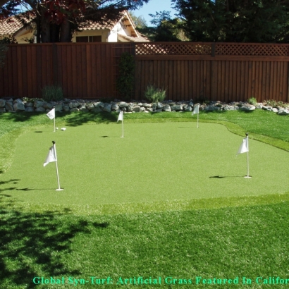Fake Grass Casa Conejo, California City Landscape, Backyard Landscaping Ideas