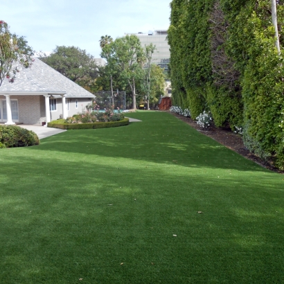 Fake Grass Edna, California Garden Ideas, Front Yard Landscaping Ideas