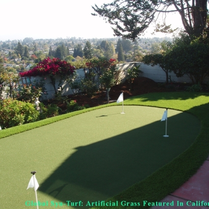 Fake Lawn Oak View, California Backyard Putting Green, Backyard Design