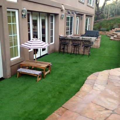 Fake Lawn Panorama Heights, California Roof Top, Backyard Landscape Ideas