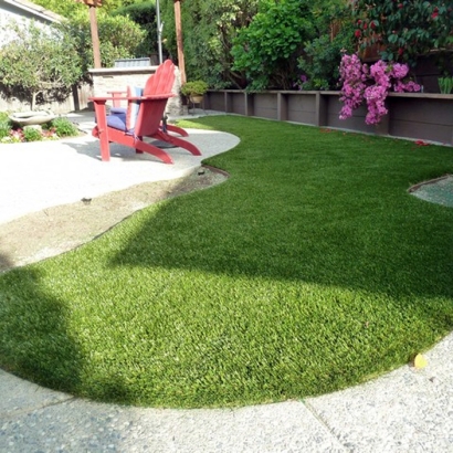 Faux Grass Thousand Oaks, California Hotel For Dogs, Backyard Landscaping