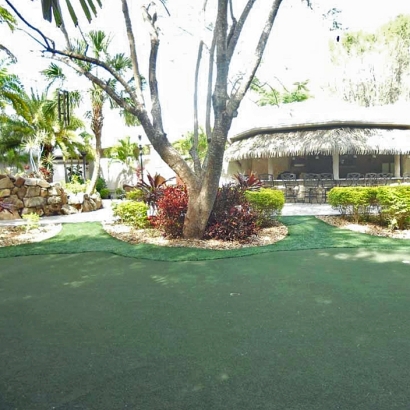 Grass Carpet Buttonwillow, California Backyard Putting Green, Commercial Landscape