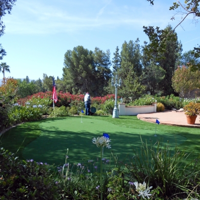 Grass Carpet Colton, California Lawn And Garden, Backyard Landscaping