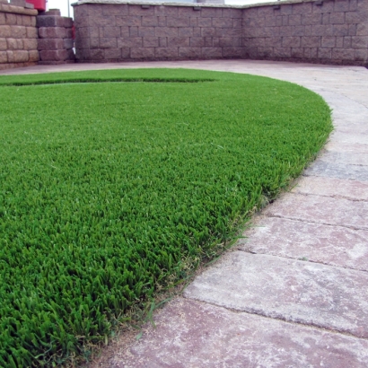 Grass Carpet Florence-Graham, California Dog Pound, Front Yard Landscape Ideas
