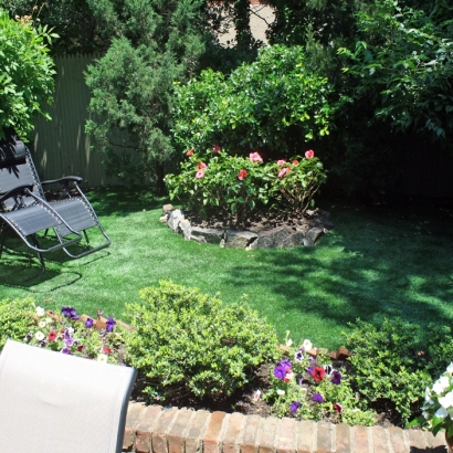 Grass Carpet Mission Viejo, California Home And Garden, Backyard Ideas