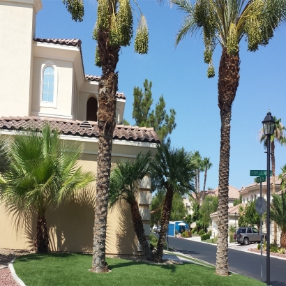 Grass Installation Shafter, California Landscaping, Front Yard Design