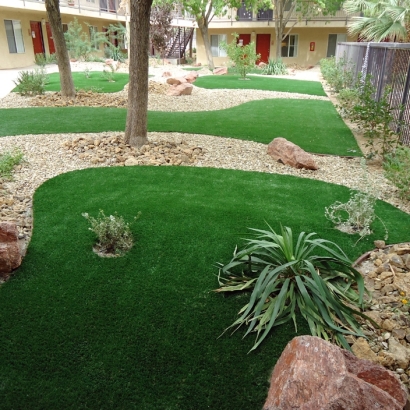 Grass Turf North Edwards, California Garden Ideas, Commercial Landscape