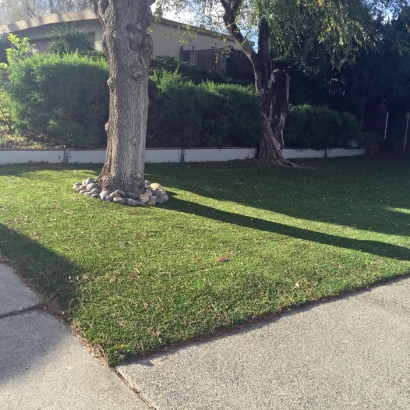 Green Lawn Highland, California Backyard Deck Ideas, Front Yard Design