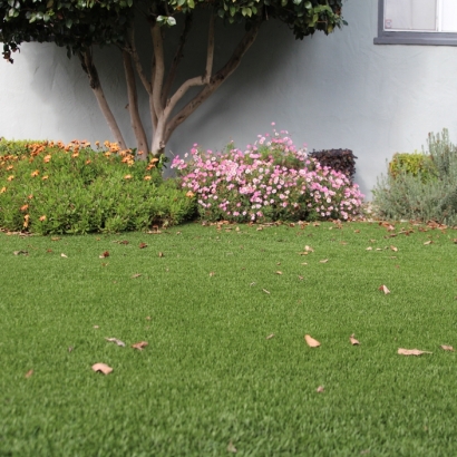 How To Install Artificial Grass Port Hueneme, California Home And Garden, Small Front Yard Landscaping