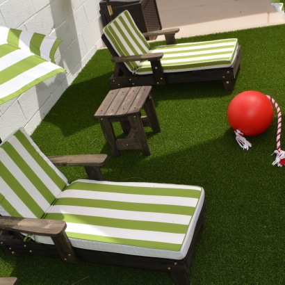 Outdoor Carpet Burbank, California Design Ideas, Backyard Landscape Ideas