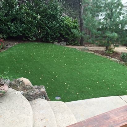 Outdoor Carpet Camarillo, California Landscaping Business, Backyard Designs