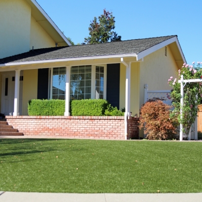 Outdoor Carpet Mentone, California Landscaping Business, Front Yard Landscaping Ideas