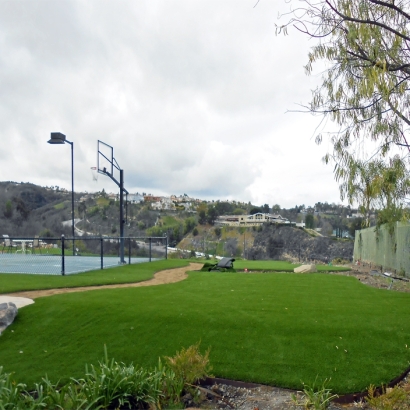 Outdoor Carpet Quail Valley, California City Landscape, Commercial Landscape