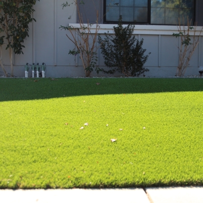 Outdoor Carpet Santa Susana, California Garden Ideas, Front Yard Ideas
