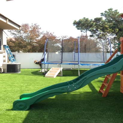 Plastic Grass Oxnard, California Playground, Backyard Landscape Ideas