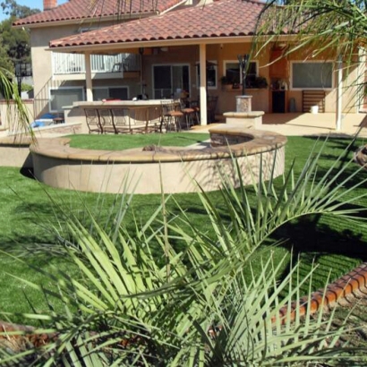 Plastic Grass San Luis Obispo, California Landscape Photos, Backyard Landscape Ideas