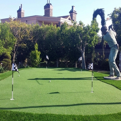 Synthetic Grass Cost California Hot Springs, California Landscaping, Backyard Landscaping