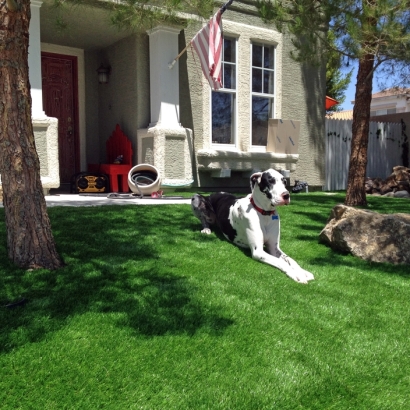 Synthetic Grass Cost Los Serranos, California Landscaping Business, Front Yard Landscaping Ideas
