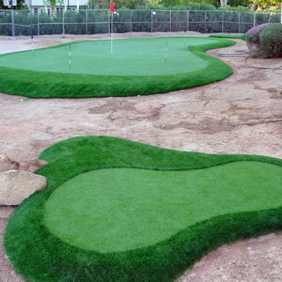 Synthetic Grass Glen Avon, California Diy Putting Green, Landscaping Ideas For Front Yard