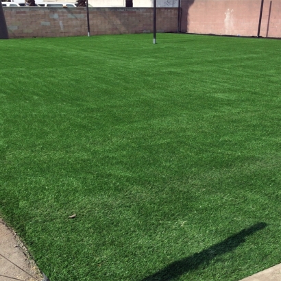 Synthetic Grass Lost Hills, California High School Sports